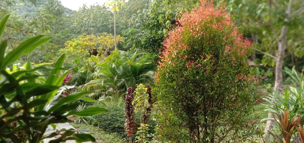 Bamboo Hut Bangalow Ко Моок Екстериор снимка